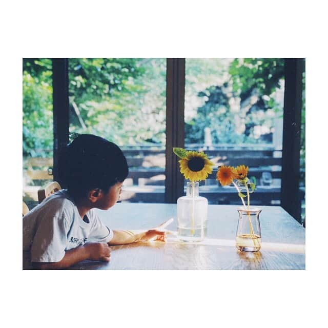 宇藤えみさんのインスタグラム写真 - (宇藤えみInstagram)「今年の夏は毎日ひまわりがいるねぇ🌻 #暮らし#花のある暮らし」8月21日 15時18分 - emiuto