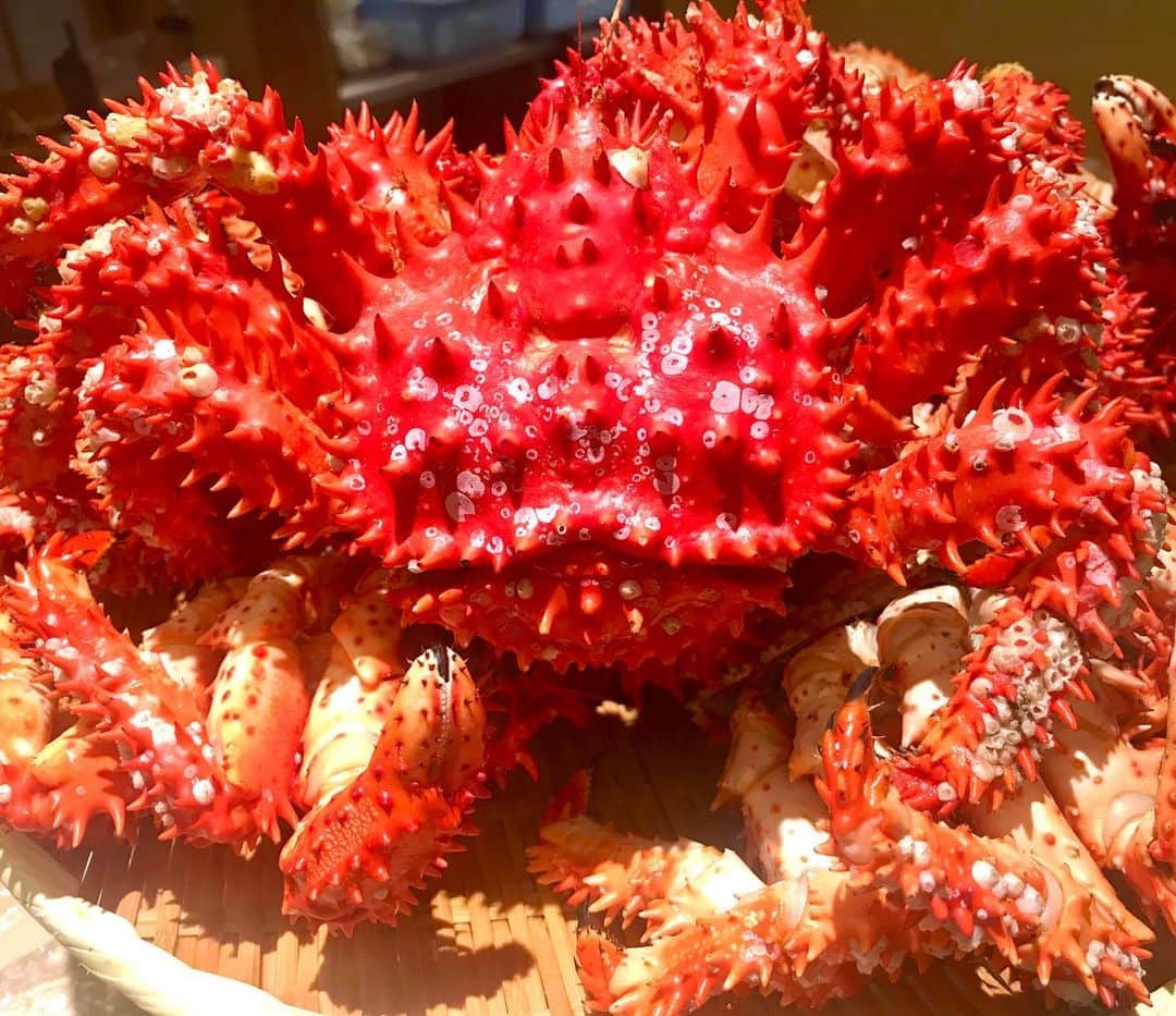 Ginza ONODERA Groupのグルメインスタ