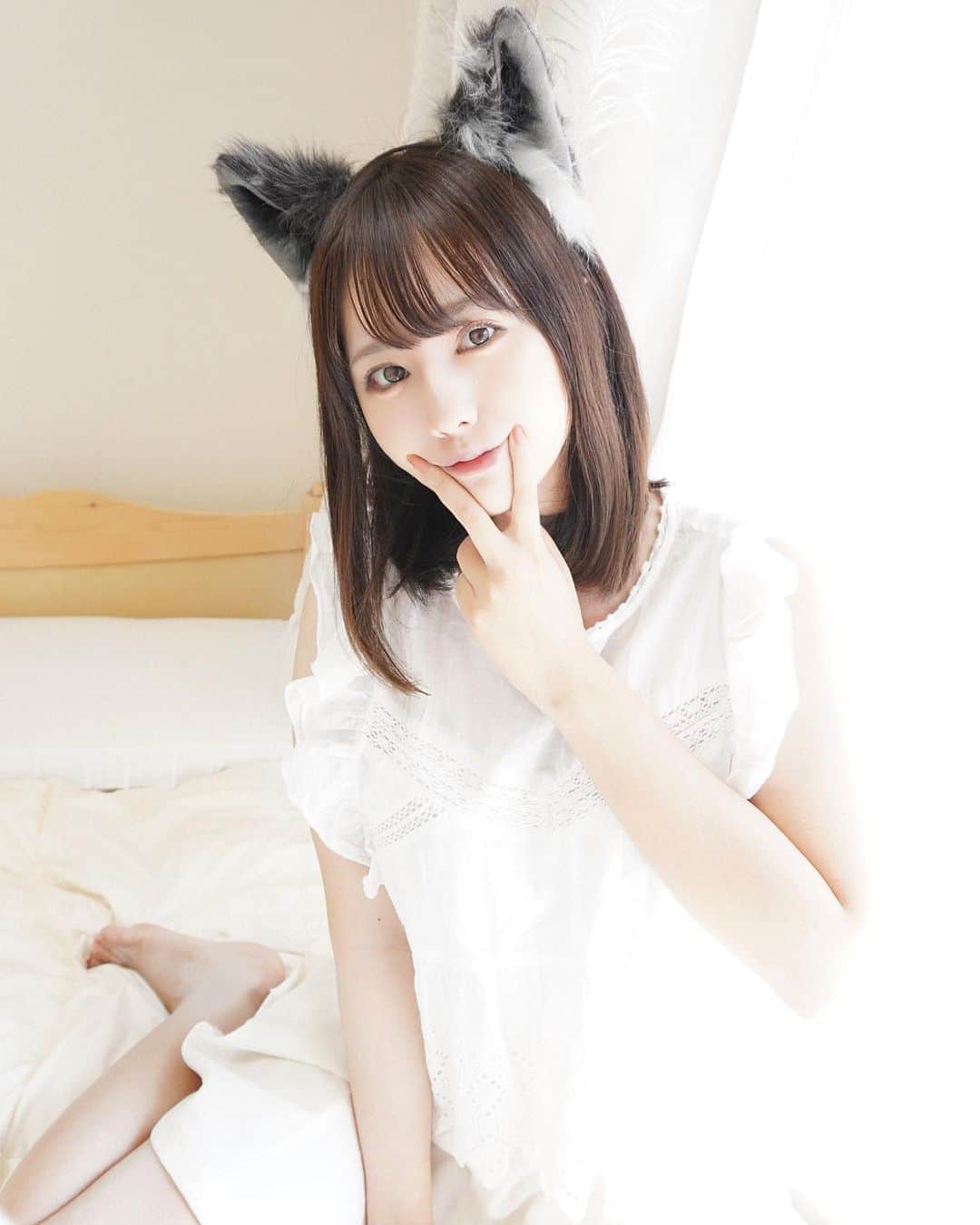 緑川百々子のインスタグラム：「これは、どんぎつねさんに擬態した猫です。」