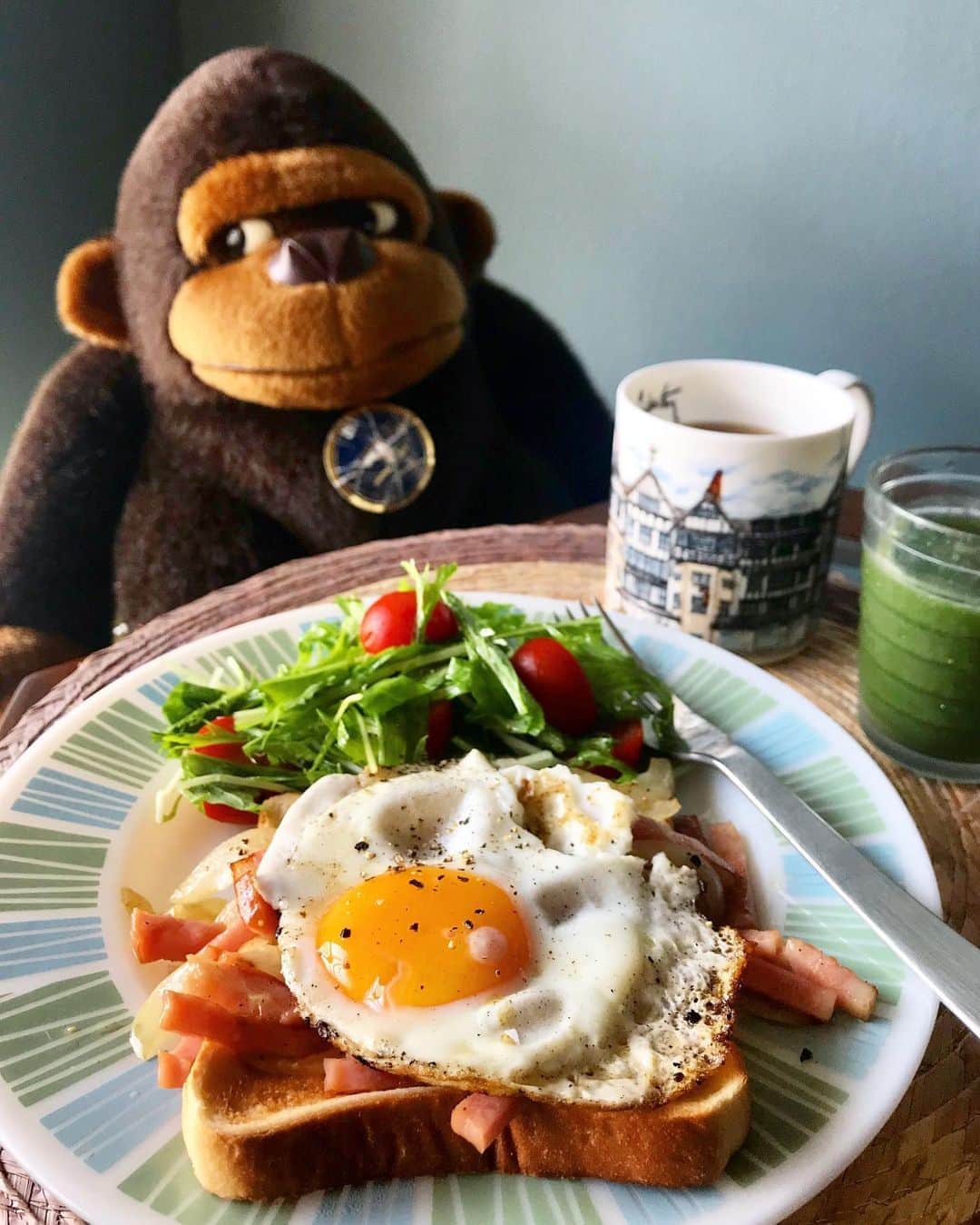 アヤメのインスタグラム