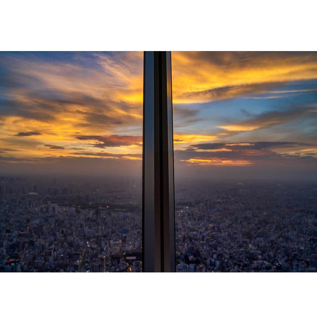 墨田区さんのインスタグラム写真 - (墨田区Instagram)「街の表情が変わるね🌙  #スカイツリーからの風景 #いつのぼっても楽しめる #夕方からのぼってもこれだけの変化 #今週も暑い中お疲れ様でした  撮影者：#すみだカメラ部10選 （@m.iku.i）  #スカイツリー　#東京スカイツリー #夕焼け　#夜景 #墨田区　#すみだ #sktree　#sumida　#tokyo　#follow」8月21日 16時35分 - sumida_official