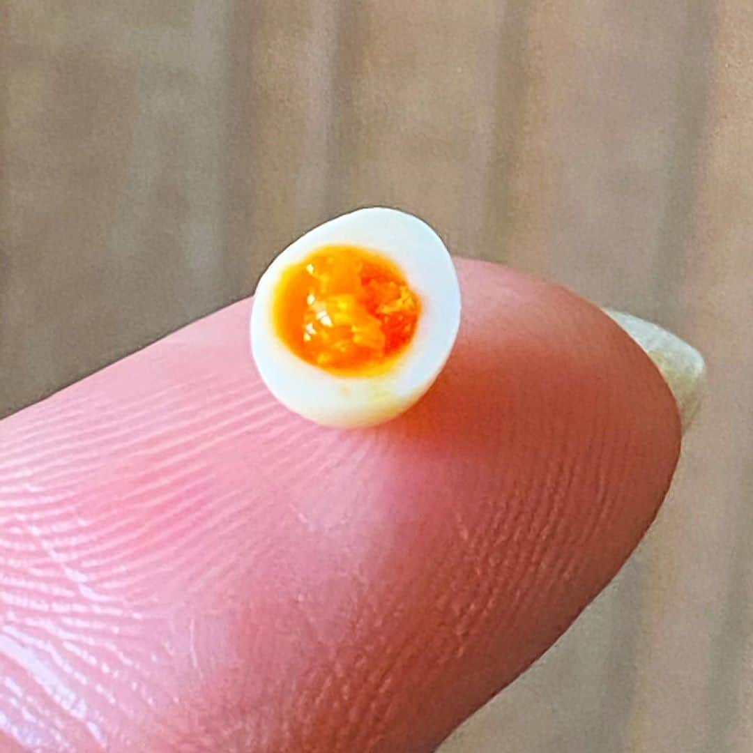 萩谷幹さんのインスタグラム写真 - (萩谷幹Instagram)「卵のくりぬき部分に黄身を。 思うような半熟にならず😢  #卵 #玉子 #煮卵 #味玉 #miniature  #樹脂粘土 #指先駆使」8月21日 16時36分 - kinkan3