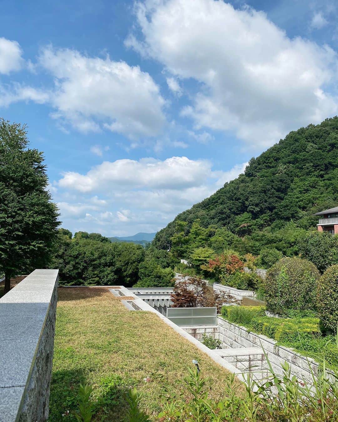 小水彩のグルメインスタ