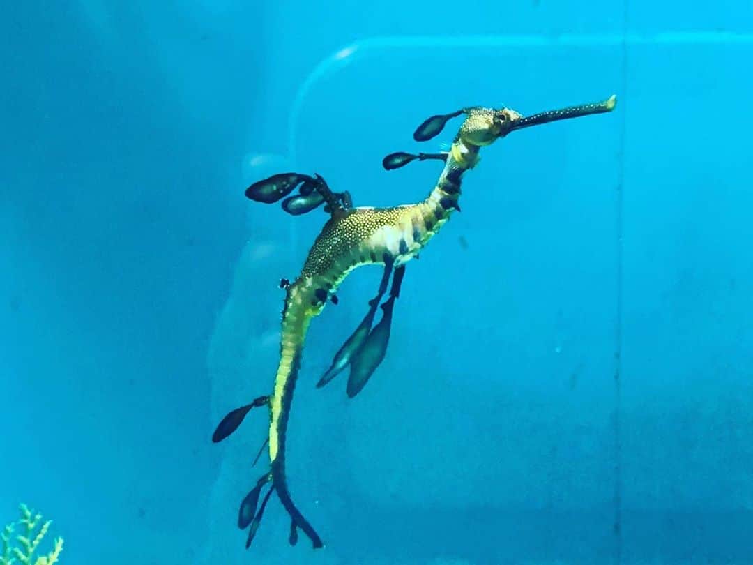 原田麻子のグルメインスタ