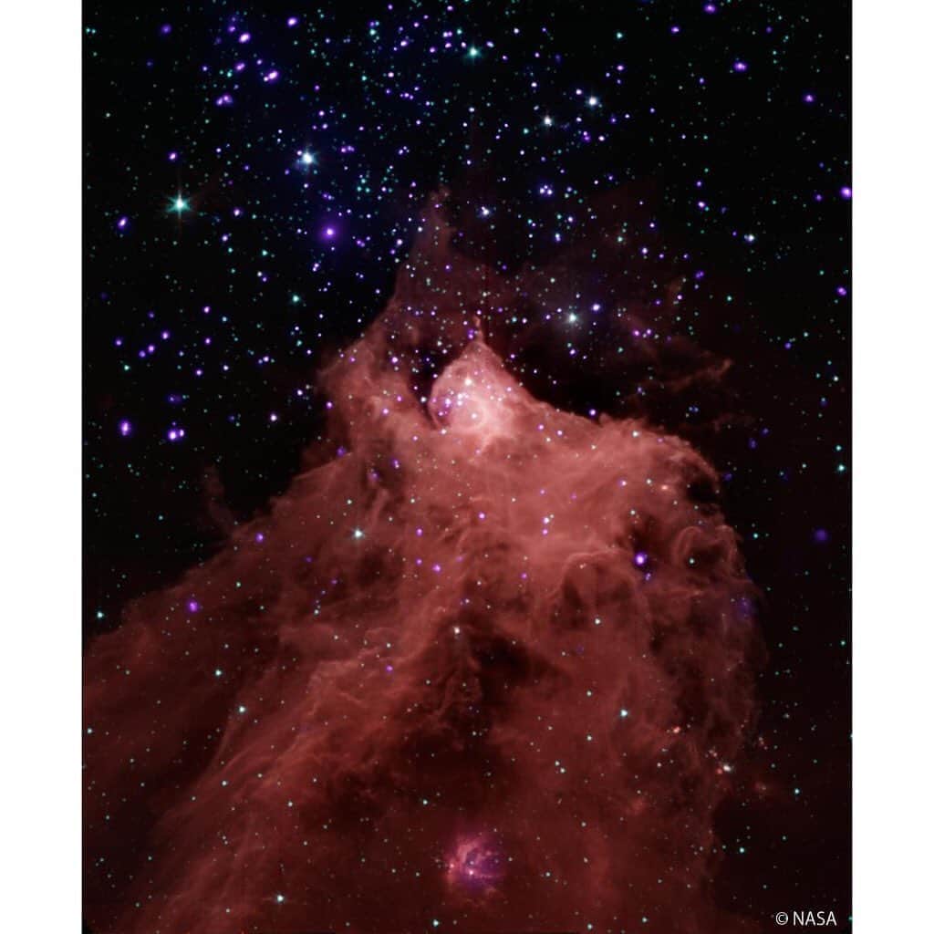 アメリカ大使館さんのインスタグラム写真 - (アメリカ大使館Instagram)「NASAのチャンドラX線天文台(NASA Chandra X-ray Observatory💫)とスピッツァー宇宙望遠鏡(Spitzer Space Telescope 🔭)の画像を合成したモノです。 これは、地球から約2400光年の天の川銀河🌌(Milky Way Galaxy)にある星形星雲セフェウスB(Cepheus B)なんだって✨ . #usa #america #studyabroad #livinginamerica #astronomy #telescope #galaxy #milkyway #observatory #starforming #fromearth #アメリカ #アメリカ生活 #留学 #宇宙 #天文学 #宇宙工学 #銀河 #天の川銀河 #天文台 #望遠鏡 #宇宙望遠鏡 #スピッツァー宇宙望遠鏡 #星空 #星雲 #地球から #宇宙と出会う金曜日」8月21日 17時24分 - usembassytokyo