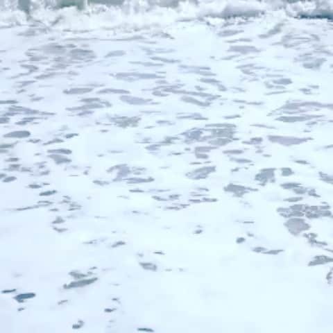 平子理沙のインスタグラム