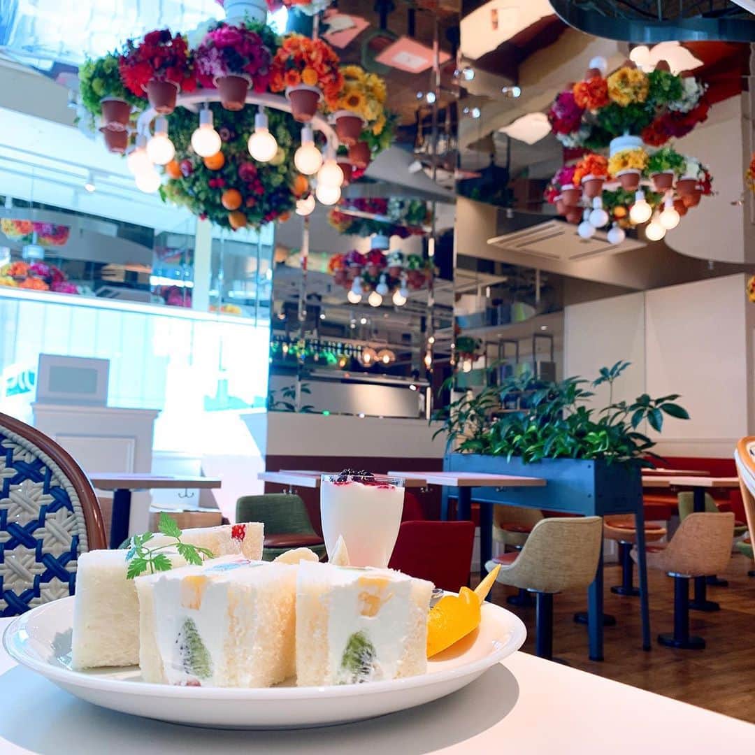 榎本温子のグルメインスタ