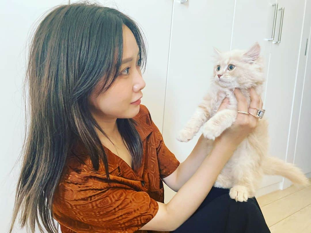 桃さんのインスタグラム写真 - (桃Instagram)「まろに会いに来てくれました🐈子猫のうちにー！って言ってたんだけど、すでに大きいよね🥺笑 本当成長早いなぁ😌✨ でも、おそらくさらに5倍くらいになるので、この先も楽しみです🥰  @tanakaofficial ありがとー🙌🏻  #まろ #ラピまろ #田中里奈 #里奈桃　#サイベリアン #syberiancat #アビシニアン#abyssinian」8月21日 17時39分 - momo.official