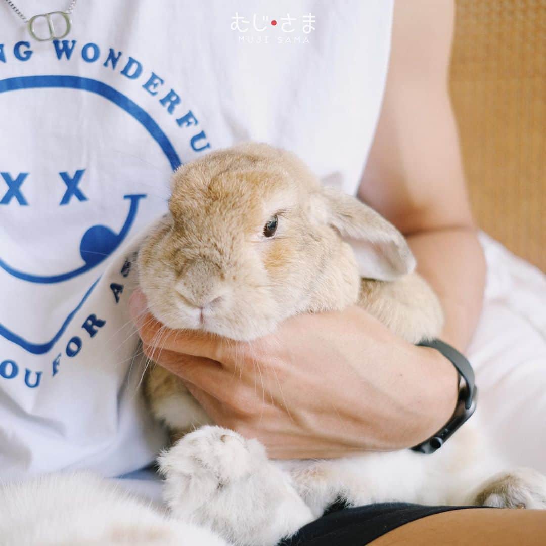 むじさまさんのインスタグラム写真 - (むじさまInstagram)「❣️ #rabbit #rabbitsofinstagram #rabbits #rabbitsworldwide #rabbitlife #hollandlops #hollandlopbunny」8月21日 17時49分 - mujisama