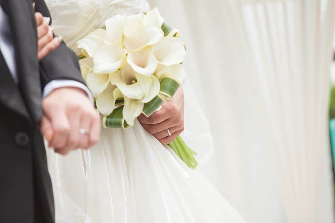 指帆亭のグルメインスタ