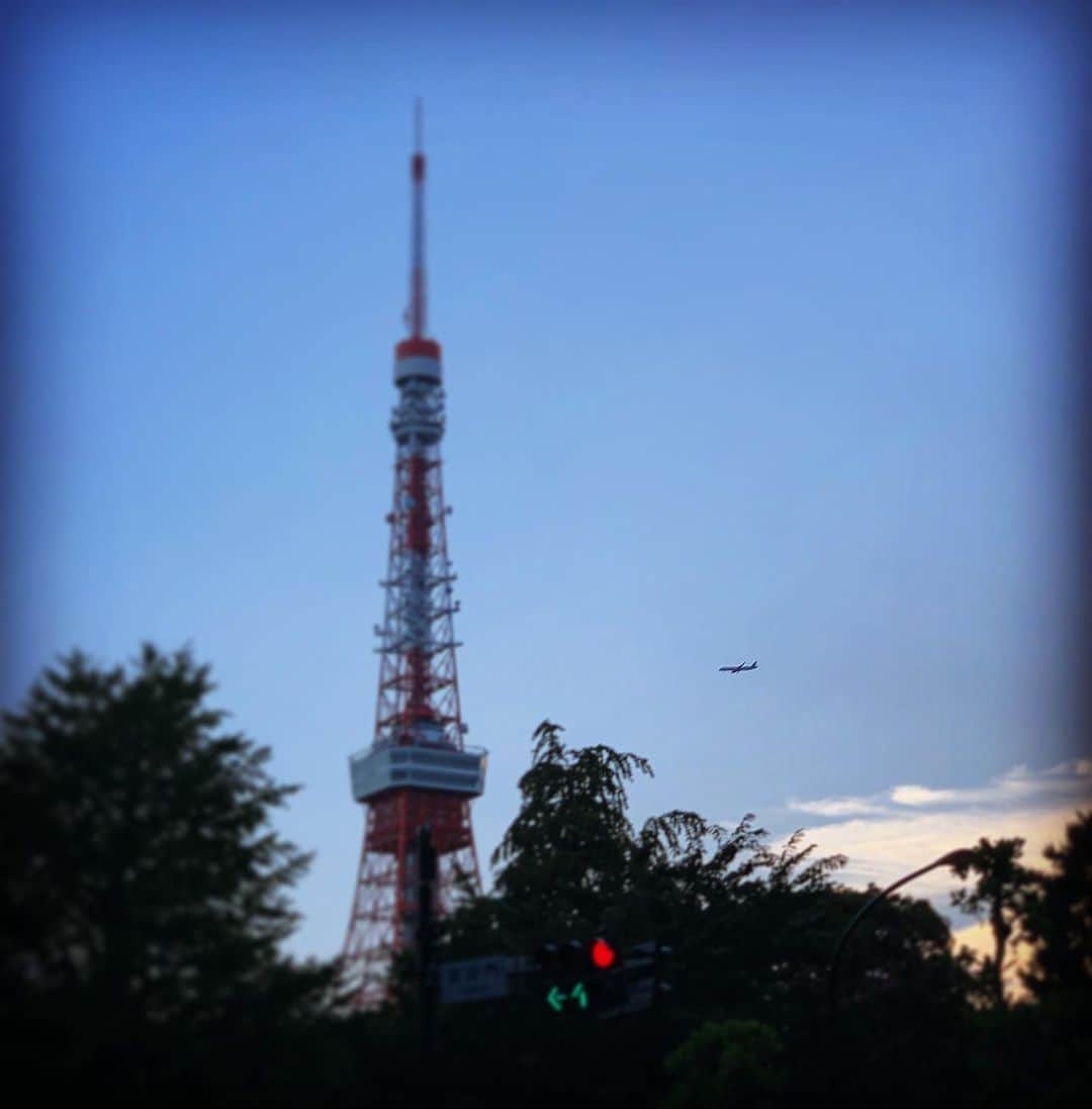有森裕子さんのインスタグラム写真 - (有森裕子Instagram)「遠くを見上げたくなって。」8月21日 18時00分 - arimori.yuko33