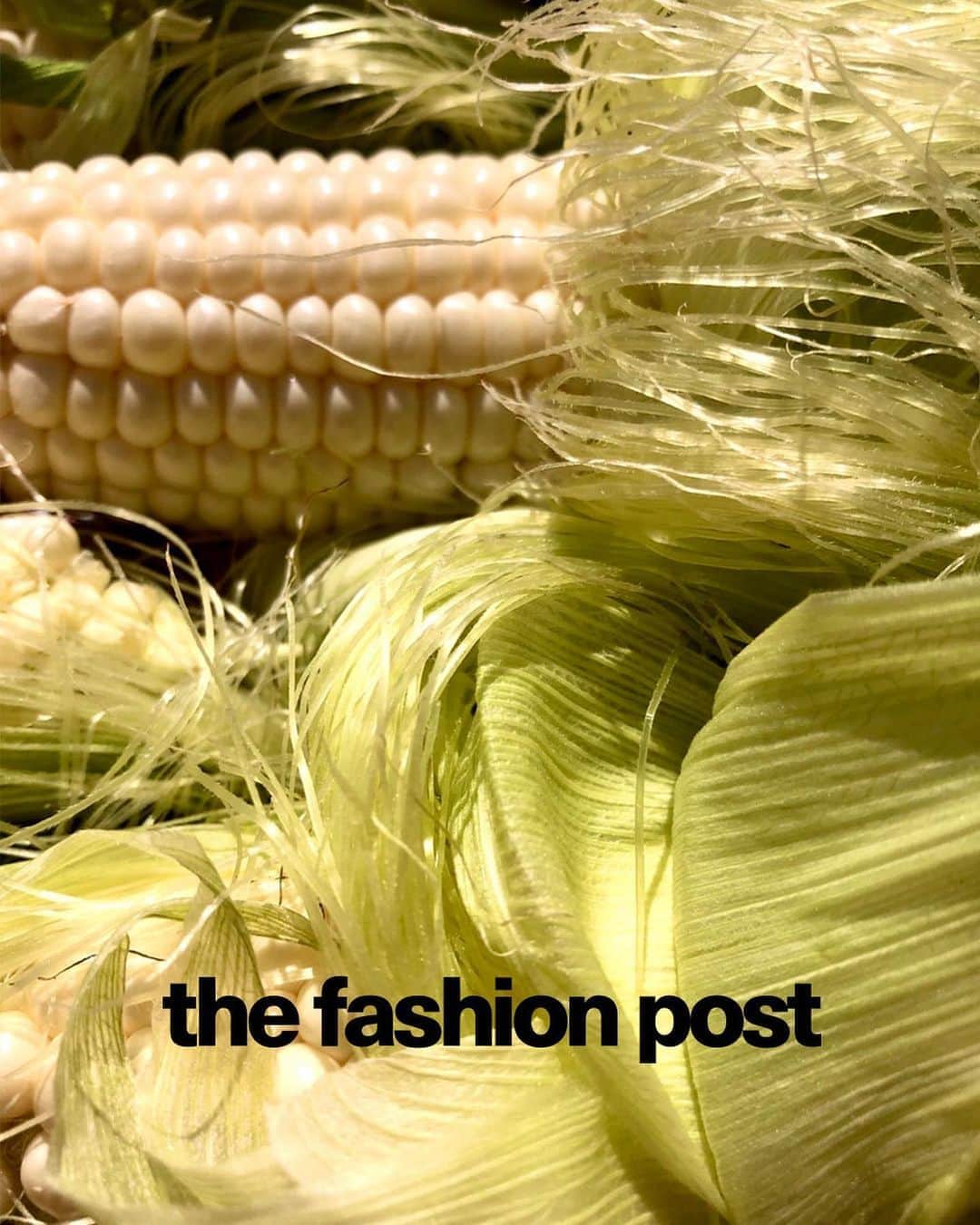 The Fashion Postさんのインスタグラム写真 - (The Fashion PostInstagram)「#DressTheFood﻿ corn and grain salad﻿ ﻿ 『【DRESS THE FOOD】 とうもろこしと穀物のサラダ』﻿ ﻿ 広告や雑誌、CMなどで幅広く活動するかたわら、「Dress the Food」として、オリジナリティあふれるフードフォトを世に送り出しているフードディレクター・薫。ZINEの制作や東京とNYの2都市での個展開催など、自身の創作活動にも力を入れる彼女が、いま一番気になる食材とは。彼女ならではの愛にあふれた眼差しで旬の食材の魅力を紐解く、新感覚のフードエッセイ。第六回目のテーマは「とうもろこしと穀物のサラダ」。﻿ ﻿ 🌽﻿ ﻿ とうもろこしにはわたしの幼心を呼び覚ます何かがある。つやつや元気な黄色い色のせい ？ お菓子のような甘さ ？ シャキシャキ、それにプチプチとはじける食感 ？ 食べる時にかぶりつくっていう野生的な行為のせい ？﻿ ﻿ いずれにせよ、夏といえばとうもろこし ！ とうもろこしといえば夏 ！ 瑞々しいとうもろこしを食べたその日から、私の中で夏の思い出が始まるんだ。﻿ ﻿ photography, food styling & text: Kaoru﻿ translation: Sho Mitsui﻿ ﻿ #TFP #TheFashionPost #Corn #とうもろこし　#Salad #サラダレシピ #Receipt #Kaoru #薫」8月21日 18時22分 - tfpjp