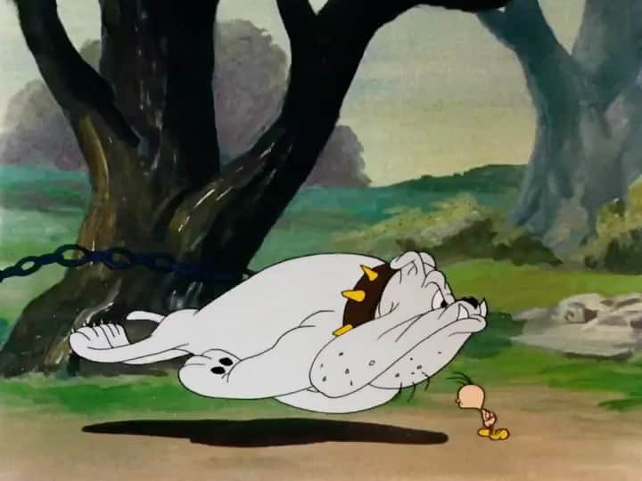 Looney Tunesのインスタグラム：「#looneytunes #cartoon #warnerbros #best #childhood @bestcartoonstv」