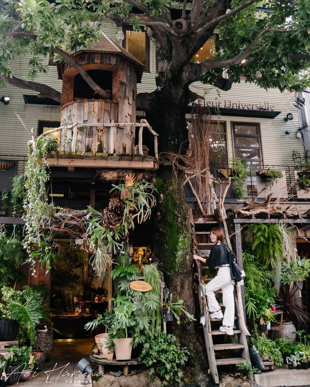 遥南碧のグルメインスタ