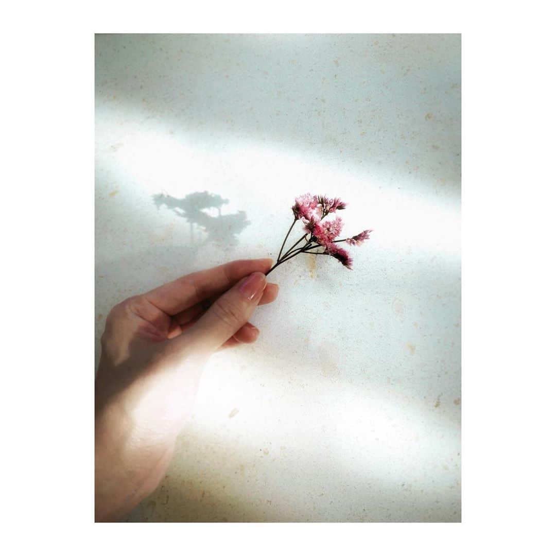 武居詩織さんのインスタグラム写真 - (武居詩織Instagram)「なつかしいかんじの。まどろみのいろ。」8月21日 18時58分 - shioritakesue