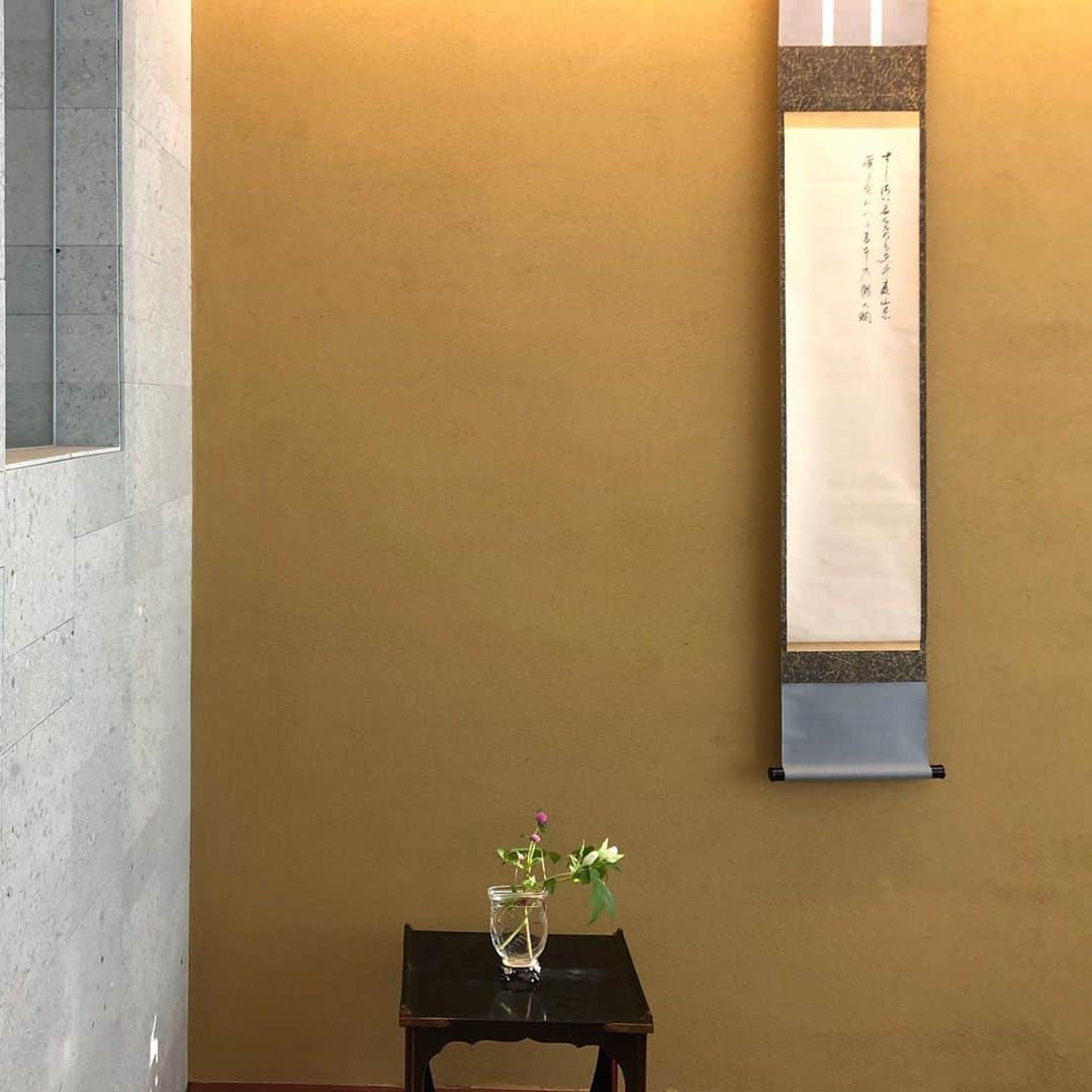 土井コマキのインスタグラム：「今月は濃茶について学びました。重菓子は向日葵きんとん。薄茶を点てる自主練の成果が出てきて嬉しい。 ・ 毎回、しつらえの解説がすごく好き。真っ白なのは、静かな滝を表現してる。蝉が一瞬鳴き止む時の静かな暑さも感じるような。 アンティークバカラは足が梅の枝だったり、透かし模様が竹など和の雰囲気。ちょうど西日が差して壁に落ちた影も美しかったです。 あー癒された。また来月。 #茶道 #茶論 #茶論大丸心斎橋店」