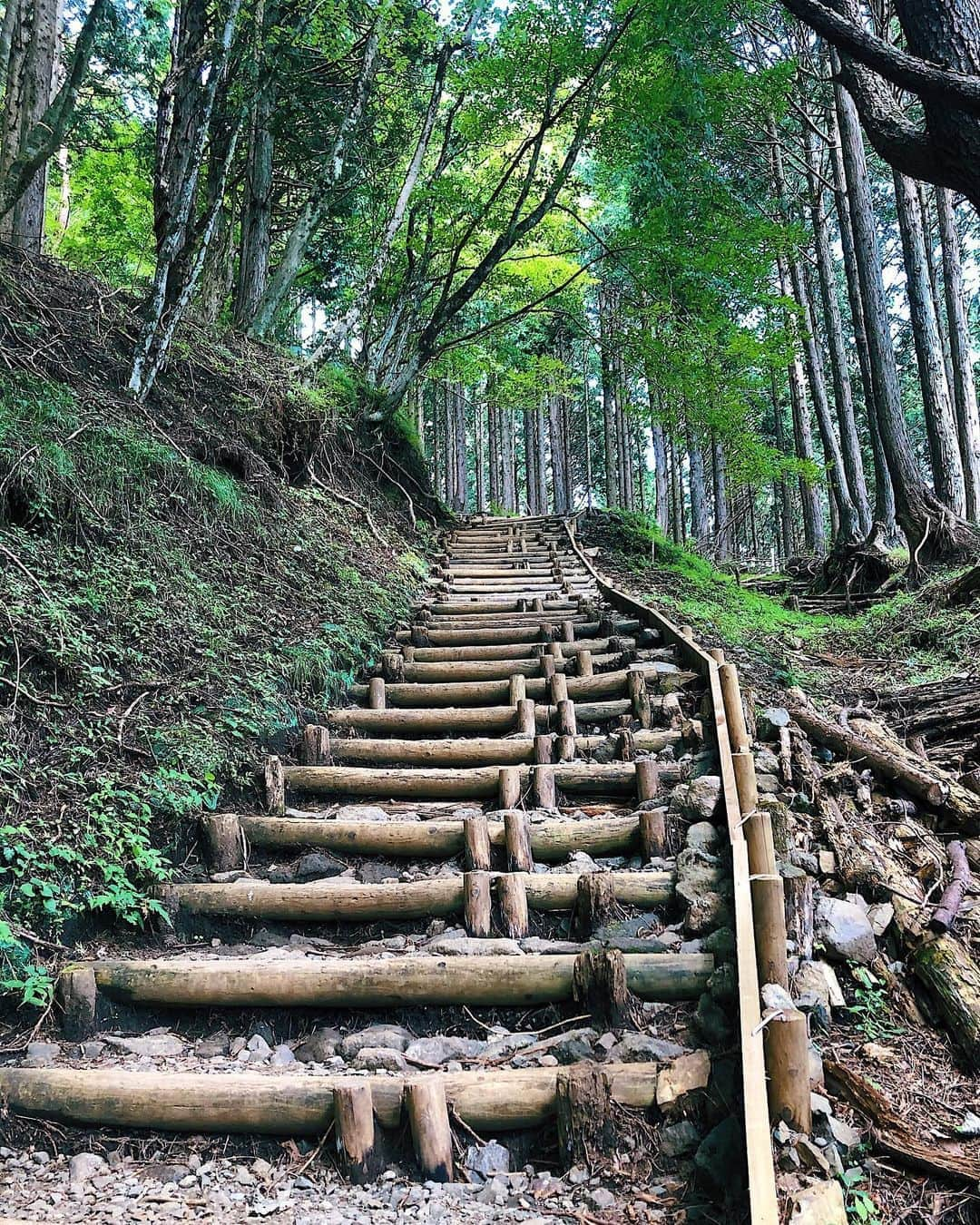 福田萌子さんのインスタグラム写真 - (福田萌子Instagram)「Morning trail ⛰🏃‍♀️Best way to start a day ✨ ひたすら登ってひたすら降る14kmのアクティビティを身体いっぱい楽しみました🦌🐝🕷🦎🐸♥️ 通称「バカ尾根」と呼ばれるほど急な斜面や階段が続く丹沢：塔の岳のハイキングコース‼️ロードバイクでもトレイルでも登りが大好きな私達の心をくすぐります✨ - 急な斜面に差しかかると、下から眺めて『オトコマエな坂だね〜』と坂バカを発揮してました😂 今日も沢山笑ってお腹が痛い。 きっと明日は違う意味で腹筋筋肉痛です😜 Thank you @kana_nagayama  - #trail #trailrunning #hiking #tonodake #mountainview #トレイルランニング #塔の岳 #丹沢 #坂バカ #坂バカ女子」8月21日 20時11分 - moekofukuda