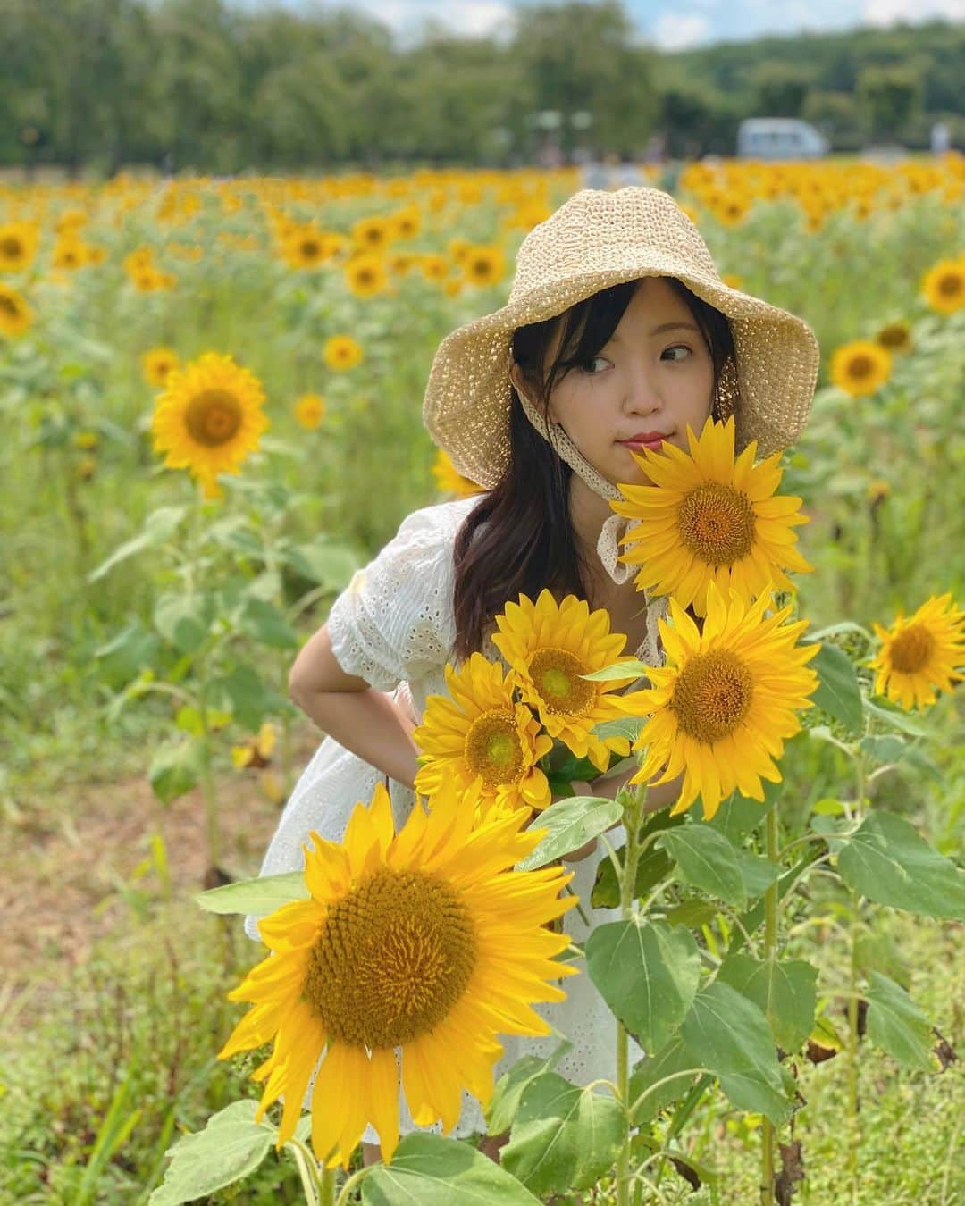 めいさんのインスタグラム写真 - (めいInstagram)「- - 花言葉は　 「憧れ」 - - - - #日本#sunflower#被写体モデル#人像寫真#portrait#사진#被写体#写真#portraitfestival#カメラ#ポートレート #portraitmood#beauty#japan#photo_jpn#photography#섹시#photo#人像攝影#フォロー#撮影#model#カメラ女子#ひまわり#向日葵#follow#portraitsedition#人像#shooting  我喜歡太陽花 居然可以圍住太陽轉 是一種滿滿正能量的花朵」8月21日 20時20分 - meitienlin1125