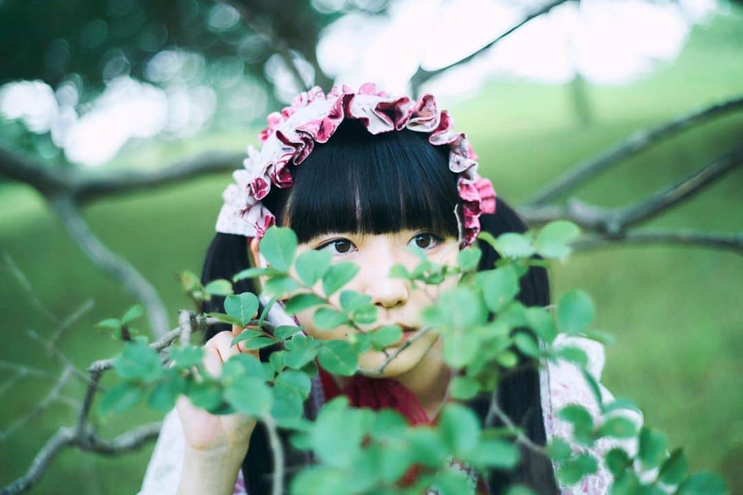 しらいちゃんのインスタグラム：「春、どこかな〜」