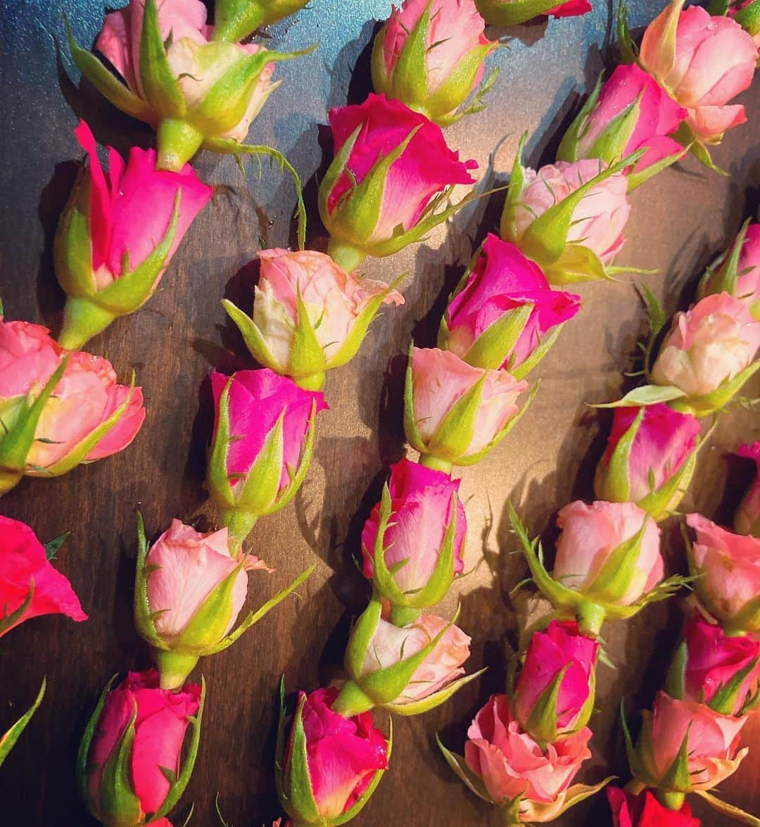森本さやかさんのインスタグラム写真 - (森本さやかInstagram)「薔薇バラバラ薔薇🌹🌹🌹 バラで花輪をたくさん作った⭐︎⭐︎ #レイ #バラ #良い香り  #花に癒される  #薔薇🌹 #rose #handmadeflower #lei」8月21日 20時44分 - sayakamorimoto1011