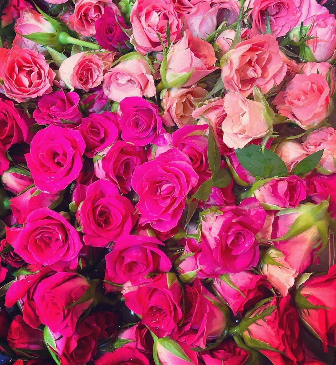 森本さやかさんのインスタグラム写真 - (森本さやかInstagram)「薔薇バラバラ薔薇🌹🌹🌹 バラで花輪をたくさん作った⭐︎⭐︎ #レイ #バラ #良い香り  #花に癒される  #薔薇🌹 #rose #handmadeflower #lei」8月21日 20時44分 - sayakamorimoto1011