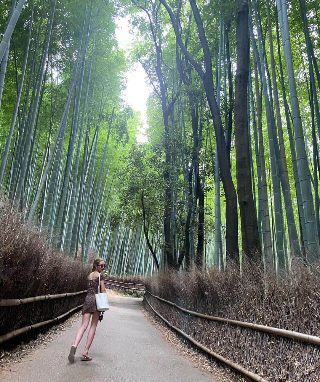 木下ココさんのインスタグラム写真 - (木下ココInstagram)「お墓参りの帰りに立ち寄った京都。 ・ よく訪れてはいたけど、全部仕事だったから、観光なんてしたのは、変な話修学旅行以来かもしれない。 ・ 盆地の暑さを警戒し過ぎて、今年初のミニ履いちゃったから、デニムより涼しかった分日焼けしちゃったな👅 ・ ・ #京都 #国内観光 #ミニワンピ　 #木下ココ」8月21日 20時49分 - cocot_chan
