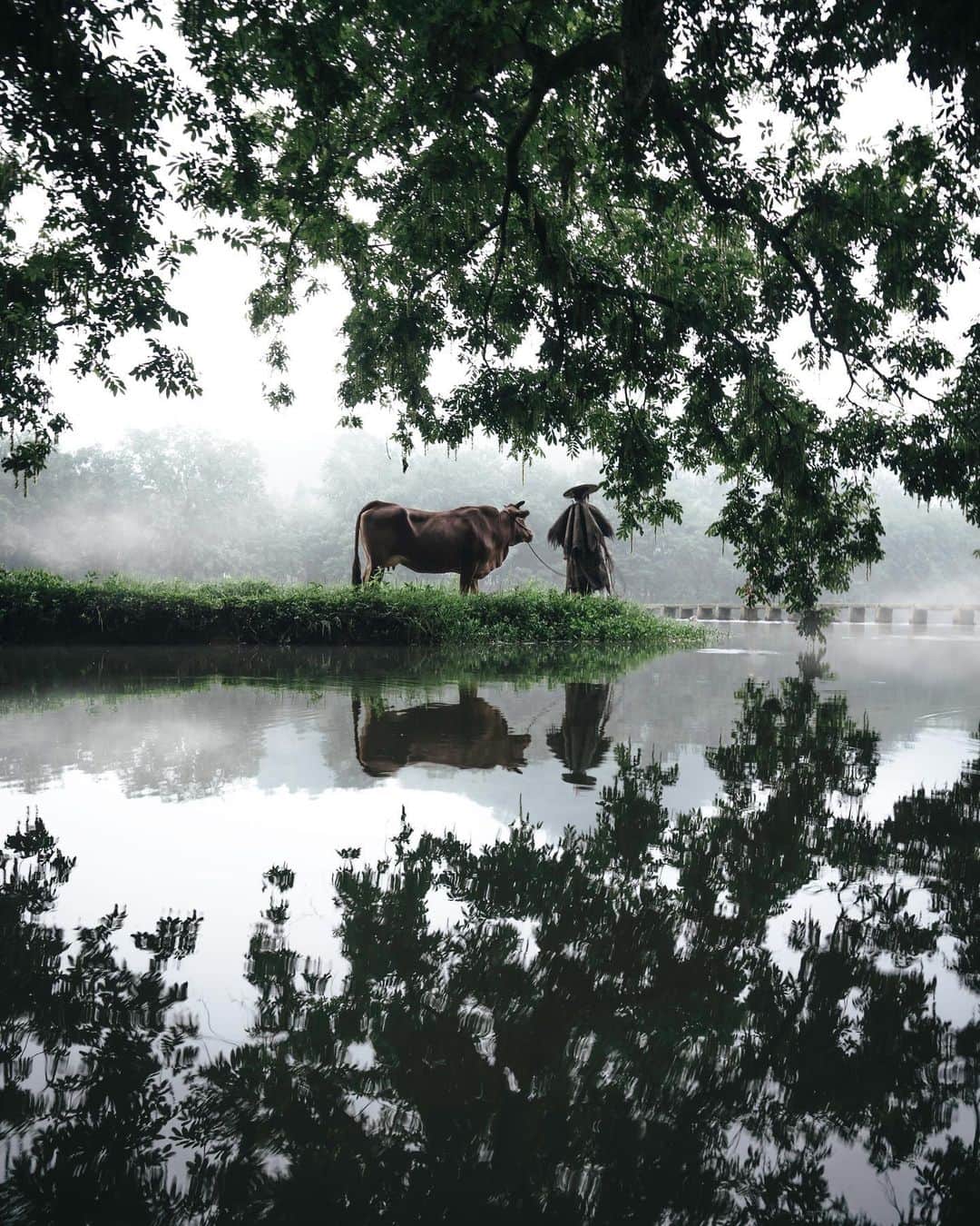 R̸K̸さんのインスタグラム写真 - (R̸K̸Instagram)「In this picturesque riverside, the reflection quieted. Year in and year out, the buffalo herder with coir raincoat and bamboo hat keeps searching by raising his heads and looking far ahead. #hellofrom China ・ ・ ・ ・ #beautifuldestinations #earthfocus #earthoffcial #earthpix #thegreatplanet #discoverearth  #roamtheplanet #ourplanetdaily #lifeofadventure #nature #tentree #livingonearth #theweekoninstagram  #theglobewanderer #visualambassadors #stayandwander #IamATraveler #voyaged #sonyalpha #bealpha #aroundtheworldpix #moodygrams #artofvisuals #travellingthroughtheworld  #cnntravel #complexphotos #HYPEBEAST #hsinthefield #lonelyplanet @sonyalpha @hypebeast @highsnobiety @lightroom @soul.planet @earthfever @9gag @500px @paradise」8月21日 21時03分 - rkrkrk
