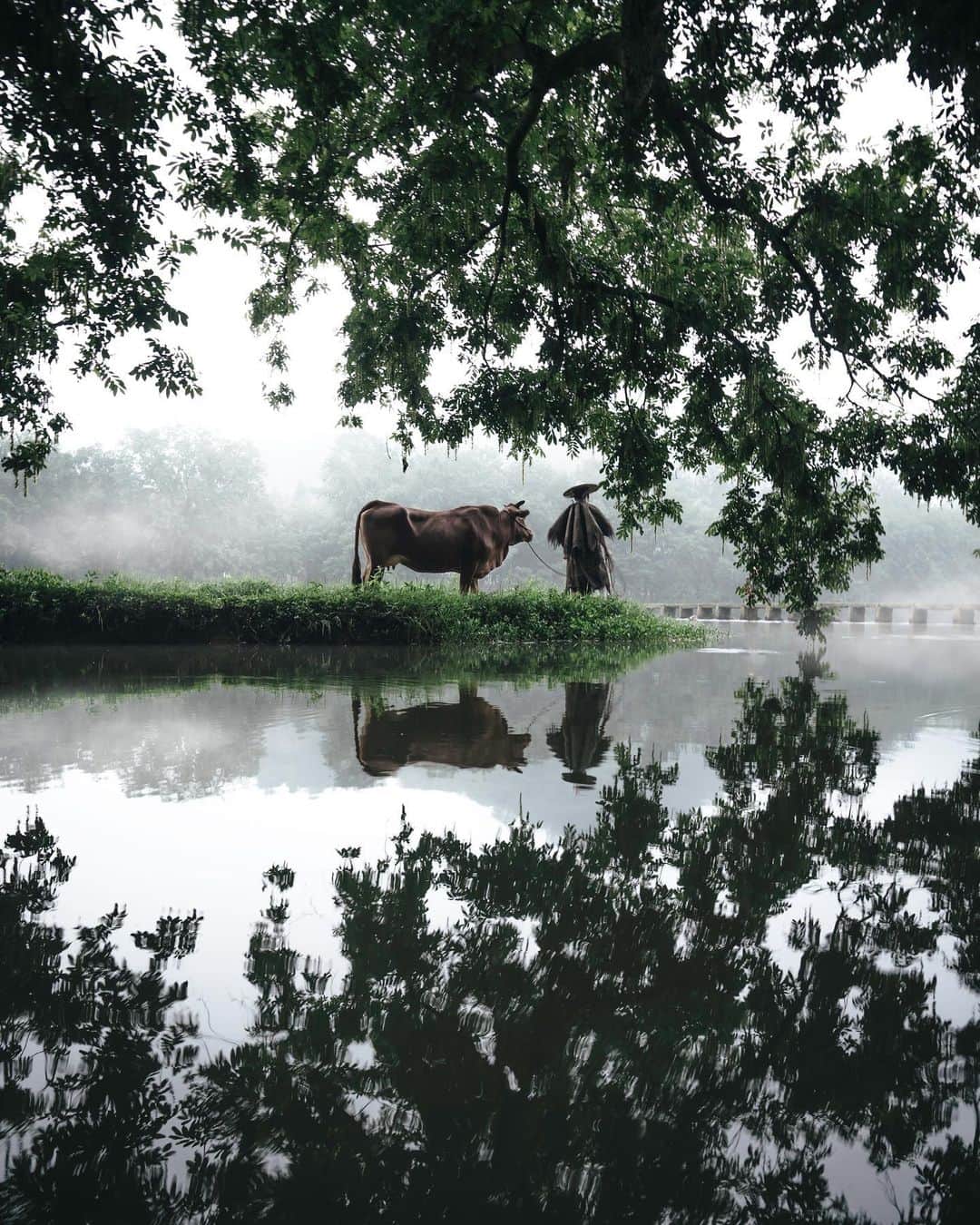 R̸K̸のインスタグラム：「In this picturesque riverside, the reflection quieted. Year in and year out, the buffalo herder with coir raincoat and bamboo hat keeps searching by raising his heads and looking far ahead. #hellofrom China ・ ・ ・ ・ #beautifuldestinations #earthfocus #earthoffcial #earthpix #thegreatplanet #discoverearth  #roamtheplanet #ourplanetdaily #lifeofadventure #nature #tentree #livingonearth #theweekoninstagram  #theglobewanderer #visualambassadors #stayandwander #IamATraveler #voyaged #sonyalpha #bealpha #aroundtheworldpix #moodygrams #artofvisuals #travellingthroughtheworld  #cnntravel #complexphotos #HYPEBEAST #hsinthefield #lonelyplanet @sonyalpha @hypebeast @highsnobiety @lightroom @soul.planet @earthfever @9gag @500px @paradise」