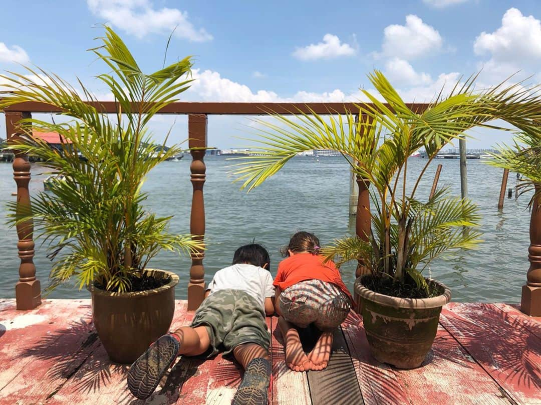 橋本麻里衣さんのインスタグラム写真 - (橋本麻里衣Instagram)「Daytrip to Pulau Ubin..☺︎ ＊ ＊ We brought frozen acai bowl for snack❤︎ ＊ 国外に出られない今年の夏休みの思い出は..友達家族と行ったウビン島。シーフードを食べてサイクリングする以外は何もないような小さな島だけど、緑いっぱいでシンガポールのお気に入りの場所のひとつです☺︎ ＊ #singaporelife#sglocallife#lifeinsingapore#igsg#sgig#coocaca#Coocaçasg#ItsAlwaysGood#シンガポールライフ#シンガポー生活#シンガポールカフェ#シンガポール在住#シンガポールおすすめ#シンガポール子育て#男の子のママ#生後19ヶ月#4歳#二児ママ#海外生活#美味しいデザート#スーパーフード　☺︎」8月21日 21時08分 - mariihashimoto