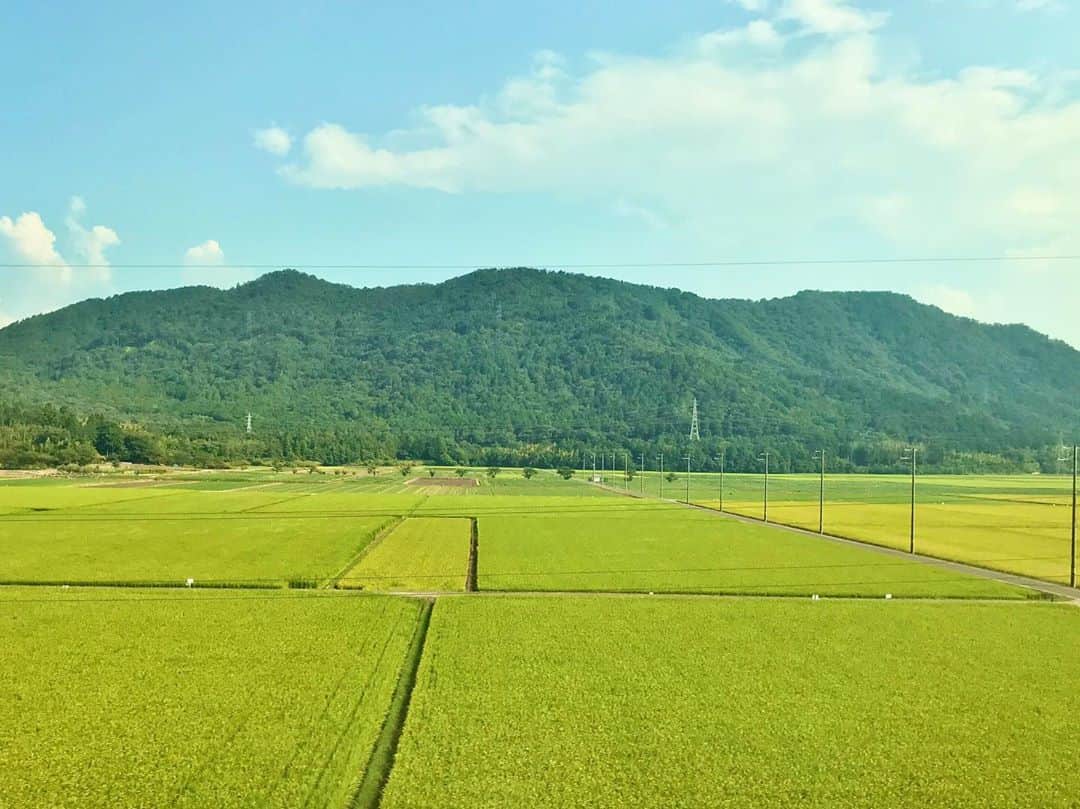 のインスタグラム：「☀️🌾🌾🌾⛰🚄 8.21 #スケリグ大阪公演  #summer」