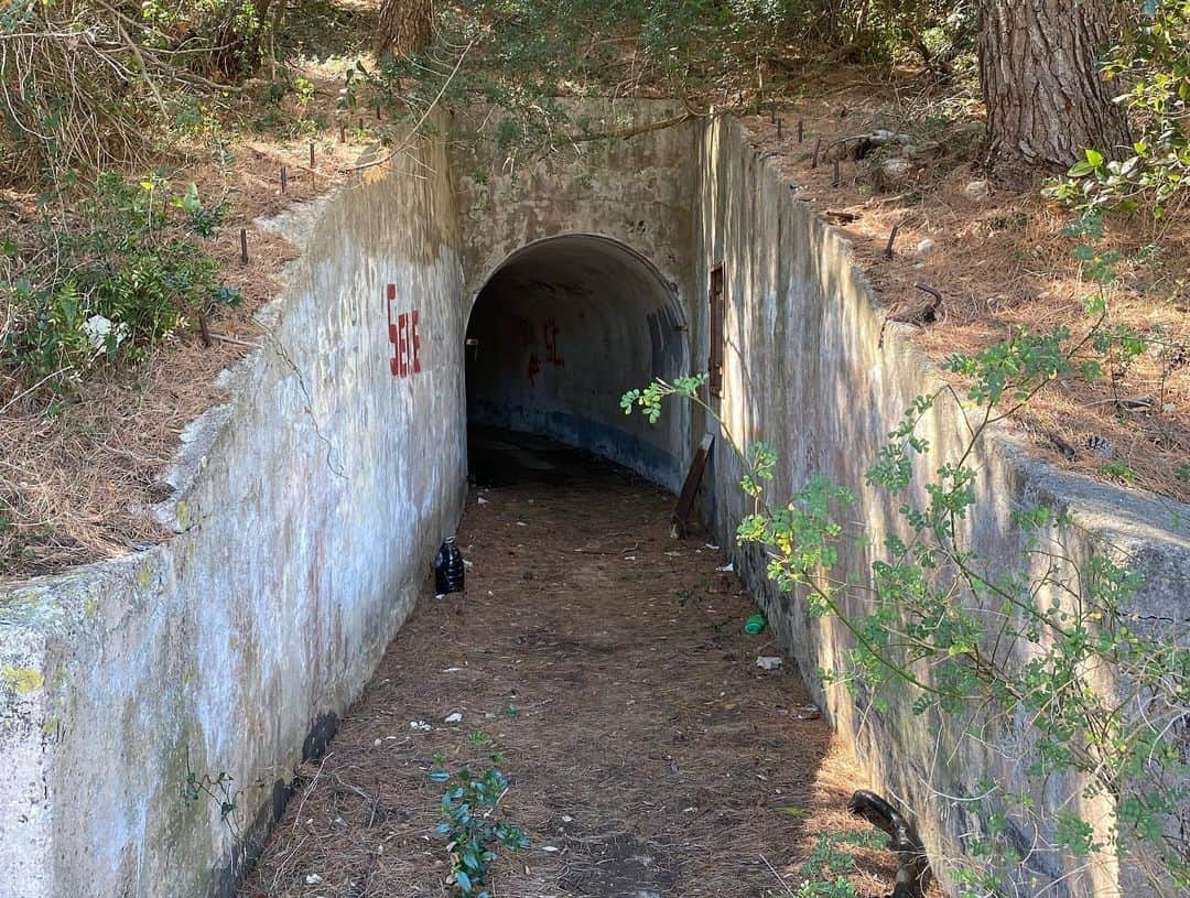 ルーファス・テイラーさんのインスタグラム写真 - (ルーファス・テイラーInstagram)「Old military tunnels of Croatia. Creepy crawly central in there ☹️」8月21日 21時49分 - rufusttaylor