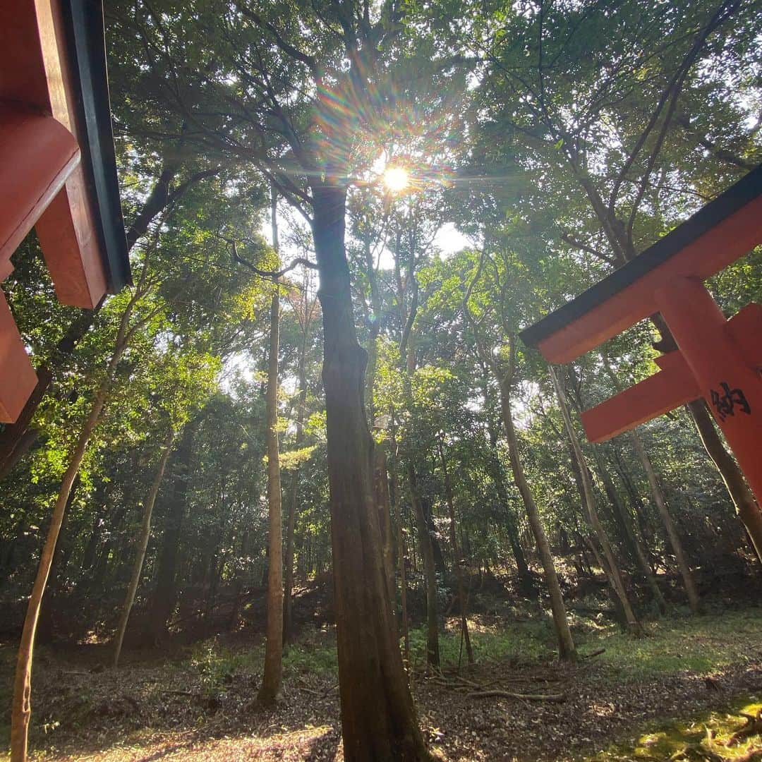西山茉希さんのインスタグラム写真 - (西山茉希Instagram)「広島に向かう西山が 奈良へ辿り着くとゆう日。  #予定が立っても未定な楽しさ #どんどん変えちゃう #ワクワクしちゃう #ケセラセラな行く先  自由の強み。 最強説。  #約一年ぶりのご挨拶 #橿原神宮  日本の生まれた場所と言われる地。  #通りすがりの電車好きさん #通りすがりのお姉さん #休憩してたおじいさん  写真撮ってくれてありがとうございました。 それぞれのセンスが、最高です。  『俺の顔しか写ってねーよぉ？！』 って言ってたおじいさん、 それ反射です😌  #ちゃんと撮れてましたよ✨ #0秒の動画も✨ #🤣😂🤣  思い出の地。 通う地。  次はまた来年かな✨⛩✨」8月21日 22時13分 - maki.nshiyama50