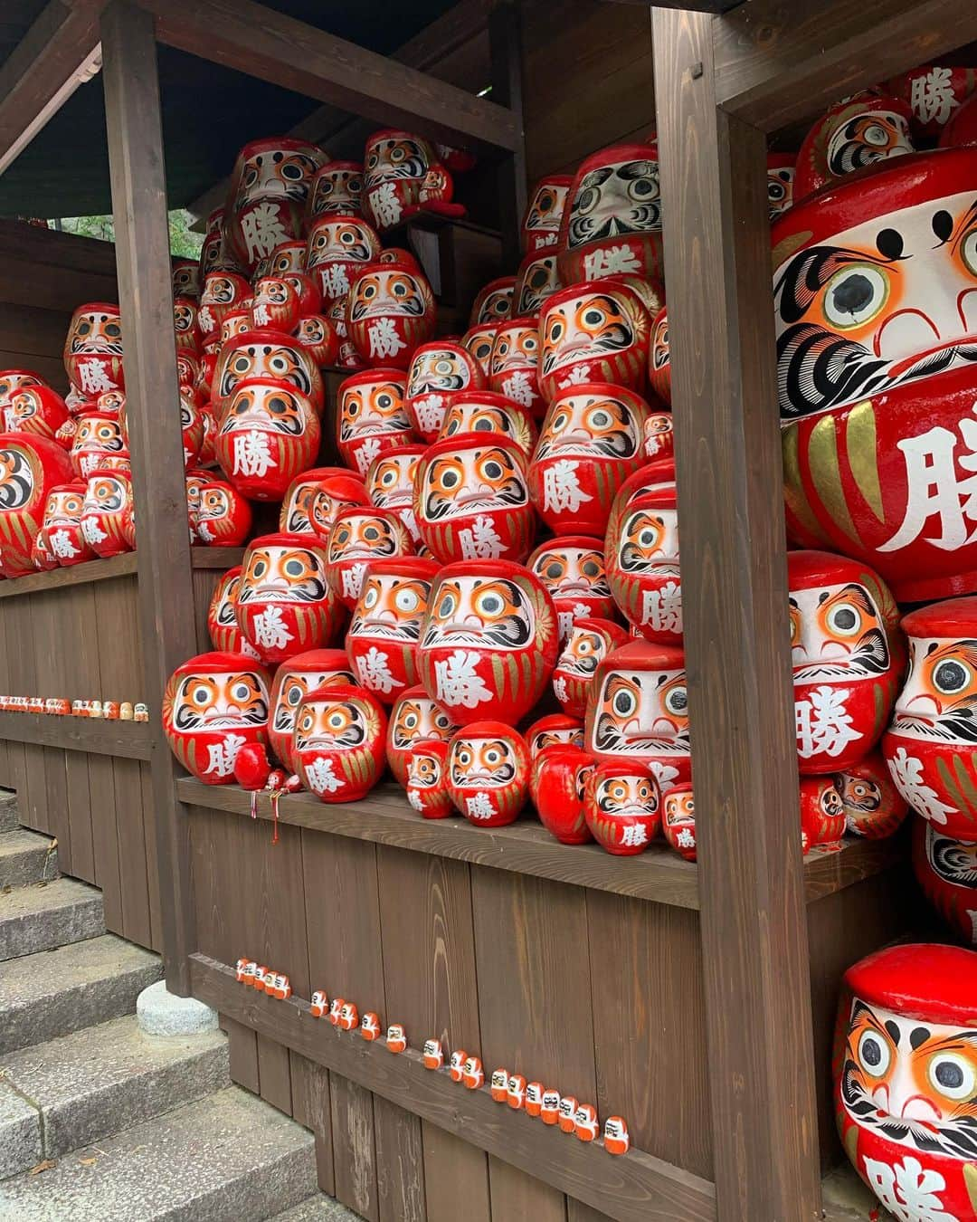 酒井大祐のインスタグラム：「#勝尾寺 #だるま #ダルマ #だるまさんが  #いっぱい  #temple  #御先祖様に感謝  #色々なことに感謝 #バレーボールが出来る #時間に感謝🙏」