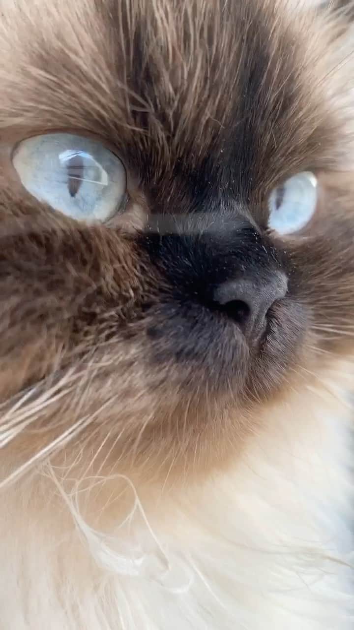 plumeのインスタグラム