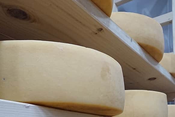 LDH kitchenさんのインスタグラム写真 - (LDH kitchenInstagram)「. @ldhfarm_official . 🚛〜LDH farm〜🚛 ・ 《Farmers Market》 ・ 【ニセコ高橋牧場の人気商品詰め合わせ🐮】 ・ 「高橋牧場」のマリボータイプのチーズ/ストリングチーズ/のむヨーグルト/お菓子などの人気商品の詰め合わせ🎶・ 焼き菓子やチーズは、素材の良さを最大限に活かす事にこだわって作っています😊・ ご当地ヨーグルトグランプリ金賞受賞の、のむヨーグルトは特におすすめです🎶・ 北海道の大地で育った牛の新鮮な自家生乳を使用してるので、どれもが素材の味を存分に堪能できる自信の商品です✨ ・ 「髙橋牧場」は、北海道ニセコ町の蝦夷富士(えぞふじ)と呼ばれる羊蹄山(ようていざん)の麓で、自社牧場を営んでおります🐄・ 一般的なホルスタイン種と少し珍しいブラウンスイス種を、自社で土作りをしてエサ作りまで管理し、100頭以上の乳牛を育てています👩‍🌾・ ニセコの冷涼な気候は、牛にとっても快適で、自由に放牧地に出歩ける環境が健康でストレスフリーな牛を育てます🐄 ・ ニセコの大地と牛とともに～ 苦しんだから、今の牛たちがいる！・ 大切な牛を幸せにしてやりたい‼︎・ 良い土を作り、良質な牧草を育て、良い牛とともに歩みたい‼︎ 牧場主 髙橋守の想いは、牛作りと商品造りに浸透しています✨ ・ ・ LDH farmでは、全国の素晴らしい生産者との取り組みとして、産地直送の農産物を販売しております。・ ・ 注文方法や詳細は、LDH farmのホームページより、ご確認ください。 ・ 【商品詳細】・ ニセコ高橋牧場の人気商品詰め合わせ🐄・ のむヨーグルト150ml x 2本、のむヨーグルト500ml x 2本、ミルクーヘン x 1個、バターフィナンシェ x 3個、ミルキーパイ x 3個、曽我チーズ x 1個、ストリングチーズ x 2個・ 5,926円(税込6,400円) ・ 【送料】・ 送料無料🚛 ・ 【生産地】・ 北海道 ・ 【保存方法】・ 冷蔵庫の10度以下で保存・ ※商品はどれも、牛乳の美味しさがしっかり伝わるように、添加物や安定剤の使用を極力抑え、賞味期限も最も美味しい短い期間に設定しています。 ・ ・ ■ご注文：LDH farm（https://www.ldhfarm.co.jp/product/） ・ __🥛🥛🥧🧀🧀🐄🐄__ ・ @ldhfarm_official ・  のプロフィールURLからご購入いただけます🤗  ____________________________________ #LDHfarm #FarmersMarket #eatveggies #おうち時間 #LDHJAPAN #LDHkitchen #北海道 #ニセコ #farmer #髙橋牧場 #牛乳 #ミルク #のむヨーグルト #ストリングチーズ #チーズ」8月22日 8時59分 - ldhkitchen_official