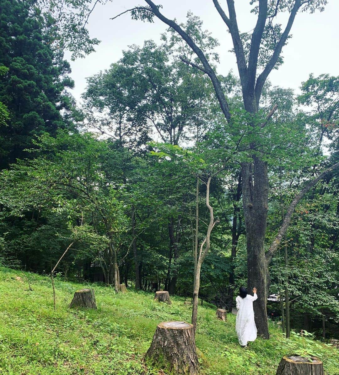 早坂香須子さんのインスタグラム写真 - (早坂香須子Instagram)「笑っちゃうくらい旅してない夏だけど、数年前に勢いで買った自分のランドには挨拶に行った。  古いマルベリーに桜の木…  ここをどう活かそう。ファスティング3日目でα派出まくりの今日。  ワクワク考えよう。  #滝はご近所 #二拠点生活」8月22日 9時15分 - kazukovalentine