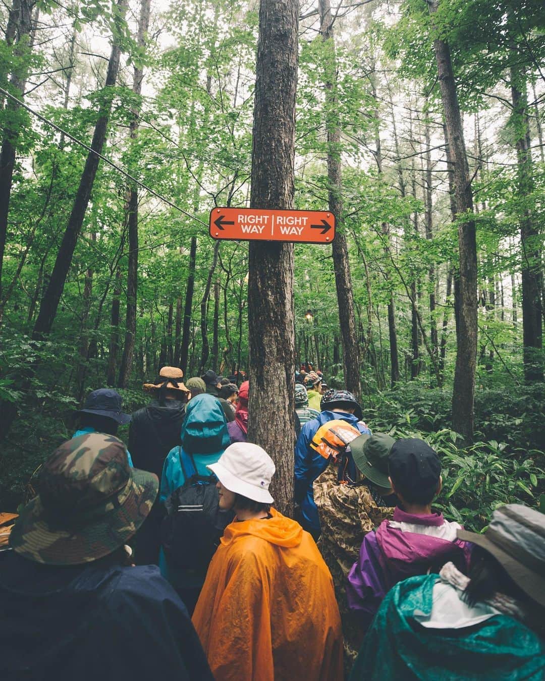 のインスタグラム：「@fujirock_jp  昔、お仕事で撮ったフジロックの写真を見てほしい☻」