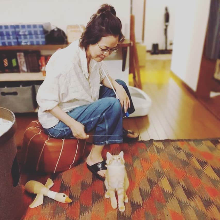 岡田屋鉄蔵のインスタグラム：「ハムさん時々首が無くなります。笑」