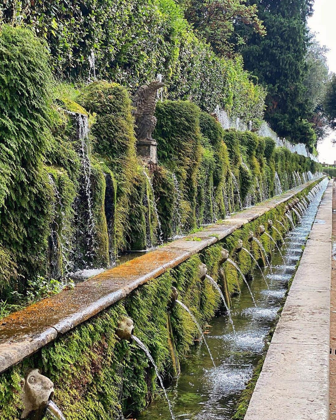 sananasさんのインスタグラム写真 - (sananasInstagram)「📍Villa d’Este 😍C’est tellement beau ! Je veux un jardin comme celui-là ... (avec les jardiniers qui vont avec 😆)  #Tivoli #Italie #Italy #InLove」8月22日 1時11分 - sananas2106