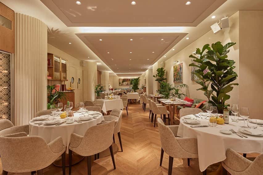 My Interiorさんのインスタグラム写真 - (My InteriorInstagram)「Italian coziness in the heart of Dubai @theartisandubai @myvision」8月22日 1時34分 - myinterior
