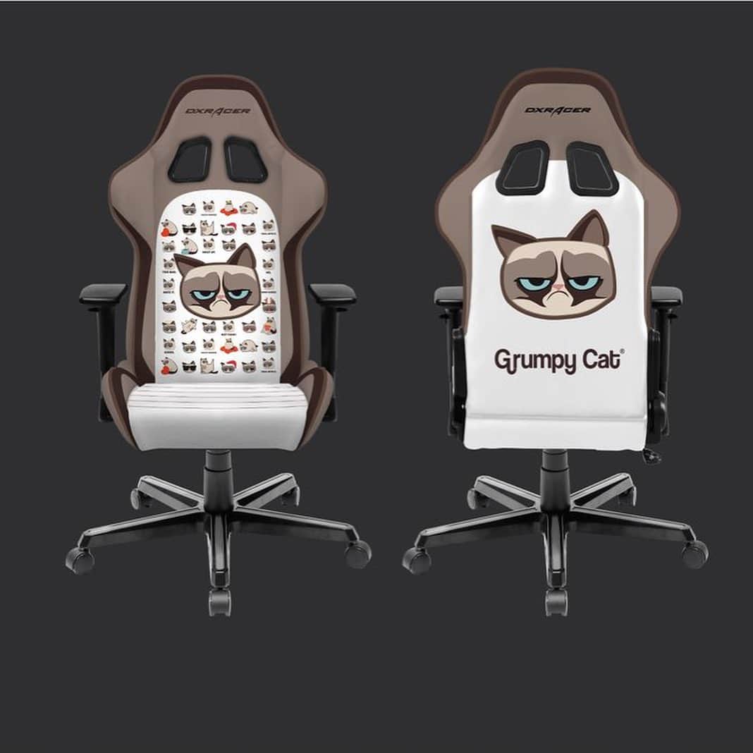 Grumpy Catさんのインスタグラム写真 - (Grumpy CatInstagram)「‪Are you ready for the world’s Grumpiest chair?!‬ ‪Announcing the Limited Edition @DXRacer & @RealGrumpyCat gaming chair!‬ ‪Available now at:‬ ‪http://grumpy.cat/DXRacer (Link in bio!)‬  #grumpycat #gamer #gamers #gamerlife #gamergirl #gamerguy #gamersofinstagram #gamermemes #games #chair #chairs #officedecor #officechair #office #officedesign #catsofinstagram #cat #cats #catstagram」8月22日 1時50分 - realgrumpycat