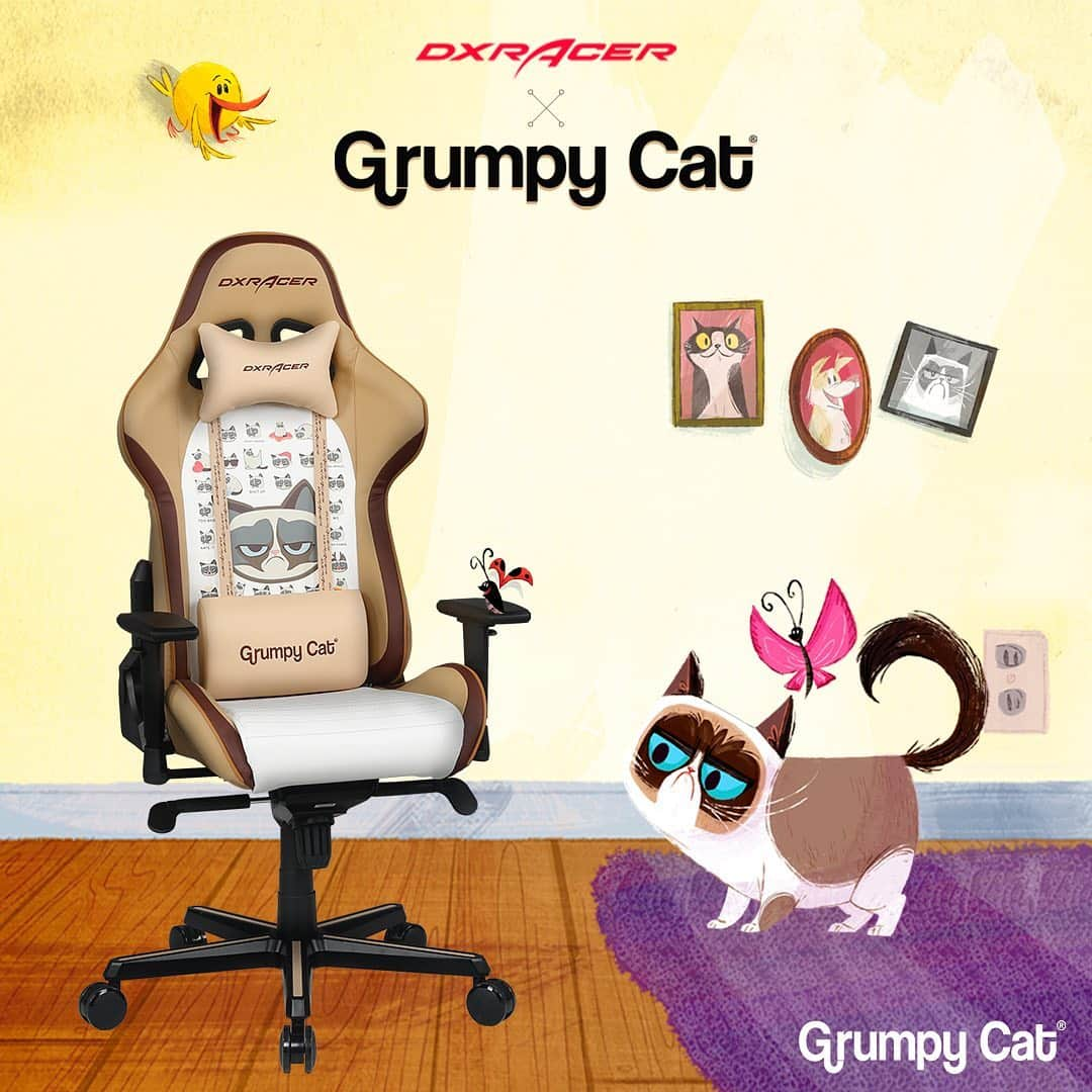 Grumpy Catさんのインスタグラム写真 - (Grumpy CatInstagram)「‪Are you ready for the world’s Grumpiest chair?!‬ ‪Announcing the Limited Edition @DXRacer & @RealGrumpyCat gaming chair!‬ ‪Available now at:‬ ‪http://grumpy.cat/DXRacer (Link in bio!)‬  #grumpycat #gamer #gamers #gamerlife #gamergirl #gamerguy #gamersofinstagram #gamermemes #games #chair #chairs #officedecor #officechair #office #officedesign #catsofinstagram #cat #cats #catstagram」8月22日 1時50分 - realgrumpycat