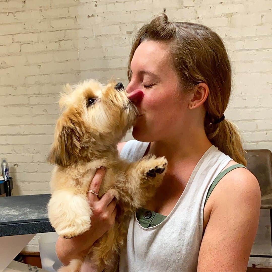 Dogs by Ginaのインスタグラム：「If you need me I’ll be here 💓」