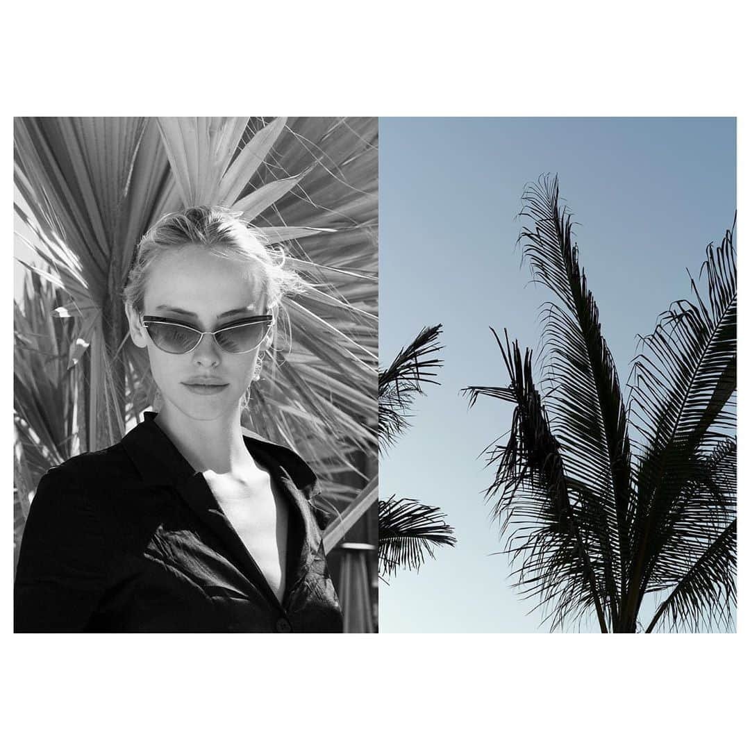 ディタのインスタグラム：「Interweaver’s innovative titanium double frame builds upon years of experimentation with titanium construction. The Interweaver is sculpted with the grace of wings extended in flight above the palms of Nobu Los Cabos. #DitaEyewear #DITAPlaces #NobuLosCabos  #CategoryofOne #DITAsunglasses」