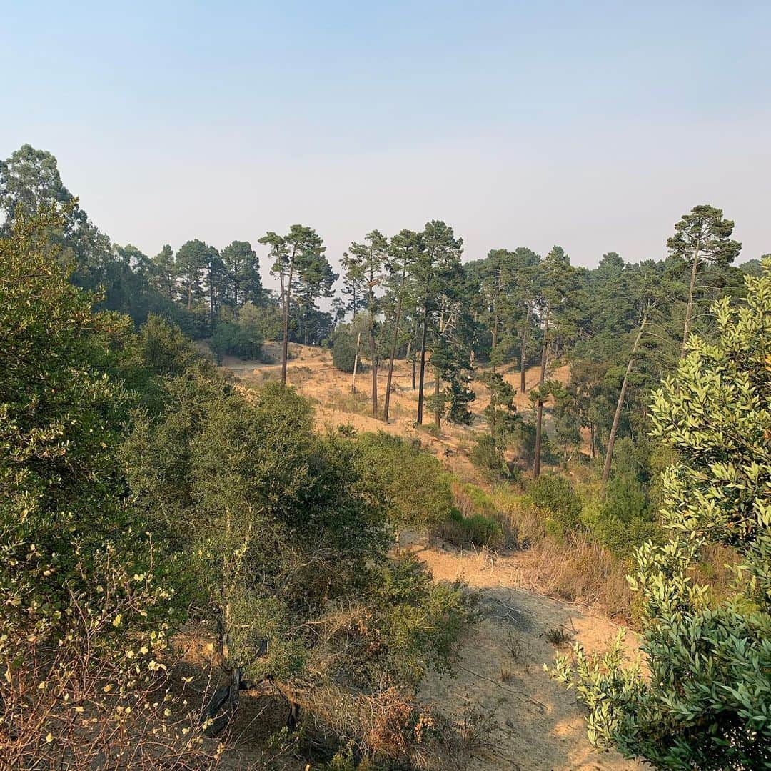 クレイ・トンプソンさんのインスタグラム写真 - (クレイ・トンプソンInstagram)「The beauty of the east bay 🚵‍♀️ ☀️ 🌲 🌌 @santacruzbicycles #hecklerszn」8月22日 6時29分 - klaythompson