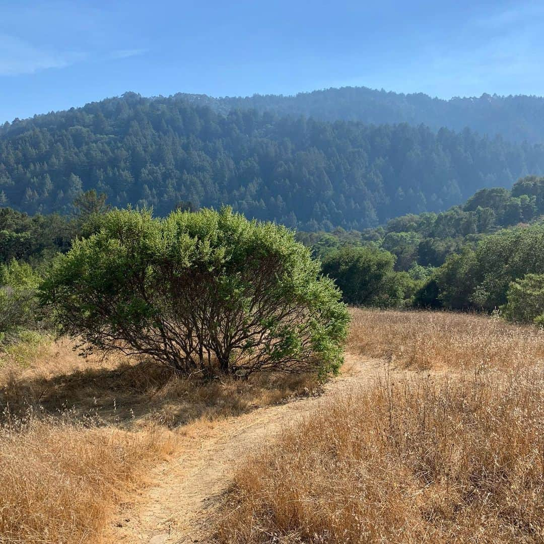 クレイ・トンプソンさんのインスタグラム写真 - (クレイ・トンプソンInstagram)「The beauty of the east bay 🚵‍♀️ ☀️ 🌲 🌌 @santacruzbicycles #hecklerszn」8月22日 6時29分 - klaythompson