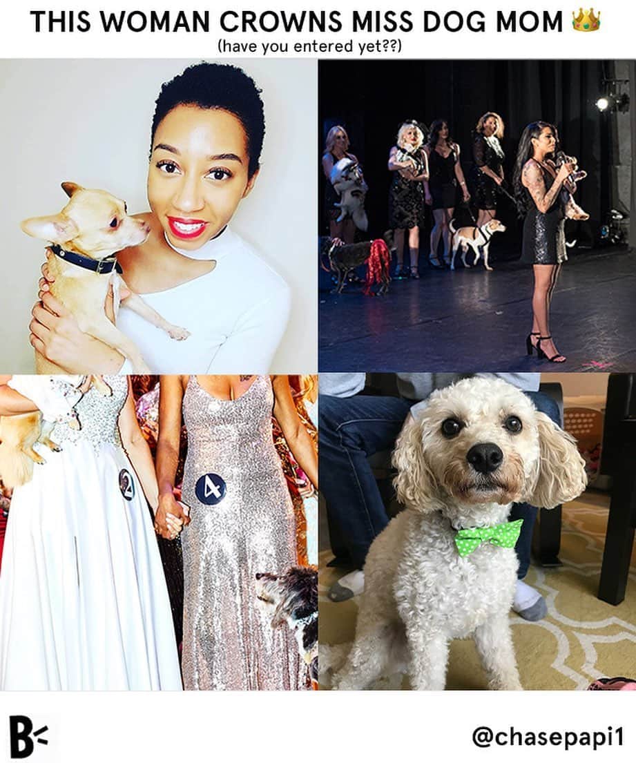 BarkBoxさんのインスタグラム写真 - (BarkBoxInstagram)「This week on DOG BUSINESSES YOU SHOULD KNOW, our series where we shed light on dog businesses with diverse, intersectional owners who have the goal, like us, of making dogs happy.    After finding herself low on ways to socialize her dogs and noticing that socializing herself usually led to leaving them home, Desh Valcin decided to start a dog event planning company called @chasepapi1 . Her goal was to provide an environment where people could unwind and enjoy while their pups played at the same time. Best of both worlds!   Typically Chase & Papi rents out venues around New York City and Long Island that are dog-friendly to throw themed events. In the current COVID-19 situation, they rose to the challenge and adapted by throwing virtual events that still allow people to join in with their dog from the comfort and safety of their own homes.    One of their most popular events in an annual competition for Miss Dog Mom. This year it will be online, making it accessible to dog moms all over the US. You can apply through the end of August so go nominate the favorite dog mom in your life!   Interested in applying or seeing what other events Chase & Papi has coming up? Click our link in bio to find out more!!   And read about last year’s Miss Dog Mom Pageant in this NY Times article! http://ruv.me/dogmompageant」8月22日 7時28分 - barkbox