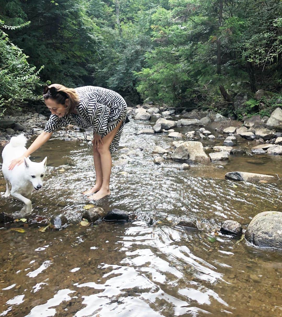 鮎河ナオミさんのインスタグラム写真 - (鮎河ナオミInstagram)「サモエドとスピッツのハーフ🤍 白くん🤍 水遊びが好きで、頭よくて、とっても可愛くて、連れて帰りたかった〜！ また遊ぼうね🤍 . . . . . #サモエド #スピッツ #激かわ #doglover #dogsofinstagram #weekendfun」8月22日 7時42分 - naomiayukawa