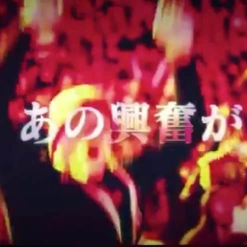Sareeeのインスタグラム