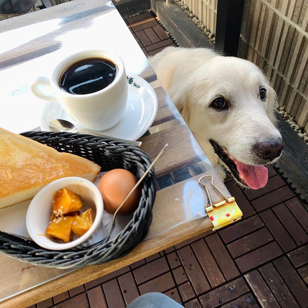 P太郎ママのグルメインスタ